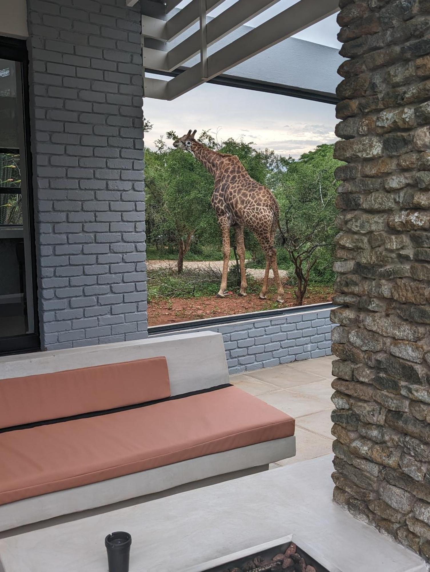 Ungava Retreat Marloth Park Exterior foto
